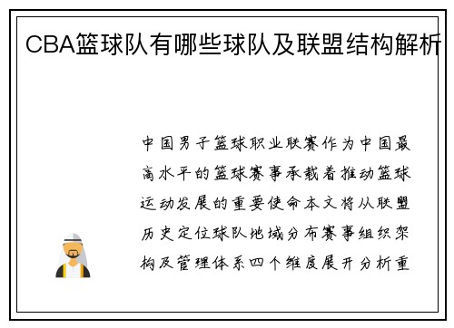 CBA篮球队有哪些球队及联盟结构解析